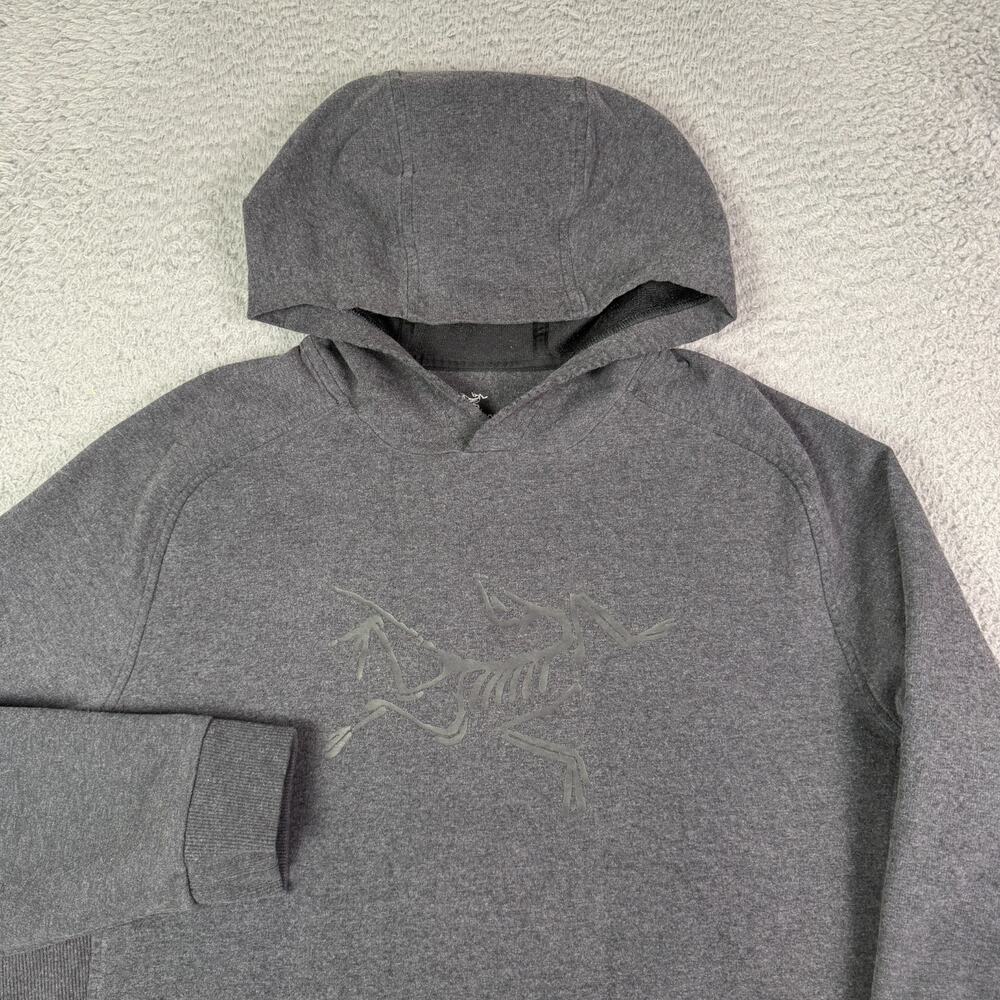 Arc'teryx Archaeopteryx Pullover Hoody Hoodie Mens Large Gray Bird Graphic